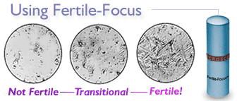 Fertile Focus